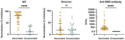 High interleukin-6 levels induced by COVID-19 pneumonia correlate with increased circulating follicular helper T cell frequency and strong neutralization antibody response in the acute phase of Omicron breakthrough infection